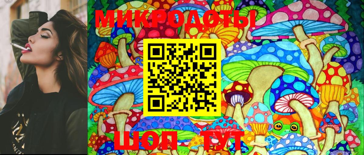 Галлюциногенные грибы Psilocybine cubensis Заринск