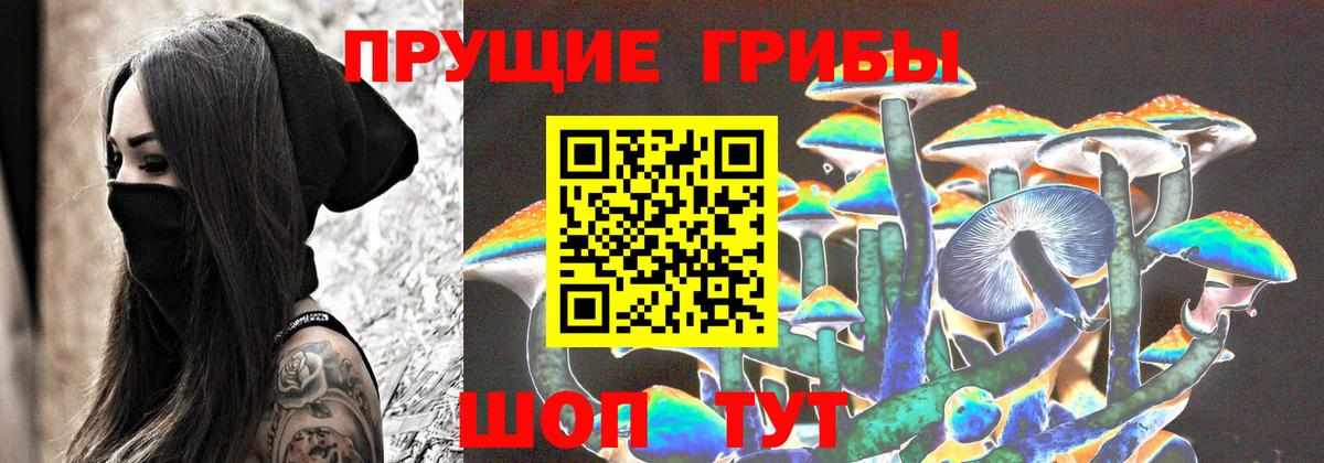 Псилоцибиновые грибы Psilocybe  Галлюциногенные грибы мухоморы  Заринск  Вход с VPN 
